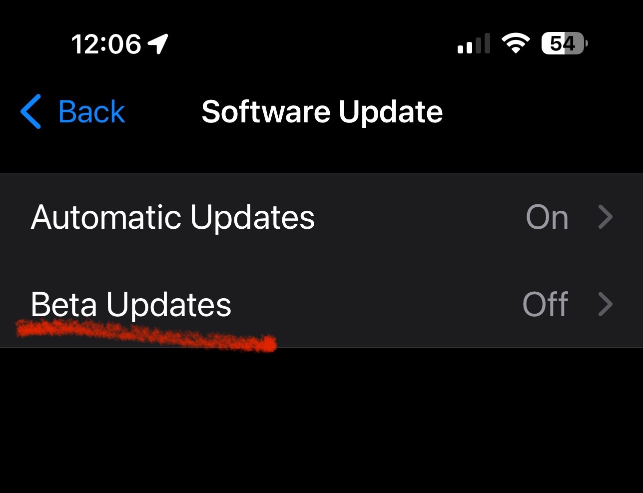 Settings –> Software update –> Beta Updates